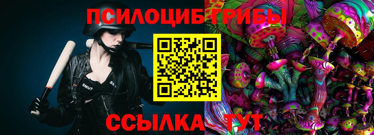 Алексин  сколько стоит  Вход с VPN  Галлюциногенные грибы мицелий 